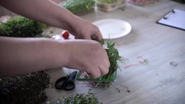 Kadın, yenebilir çiçeklerle mikro yeşillikler hazırlıyor. Vegan ve sağlıklı beslenme konsepti.