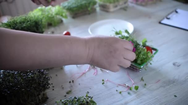 女人切微青菜 准备用可食用的花做配料出售 健康膳食的概念 — 图库视频影像