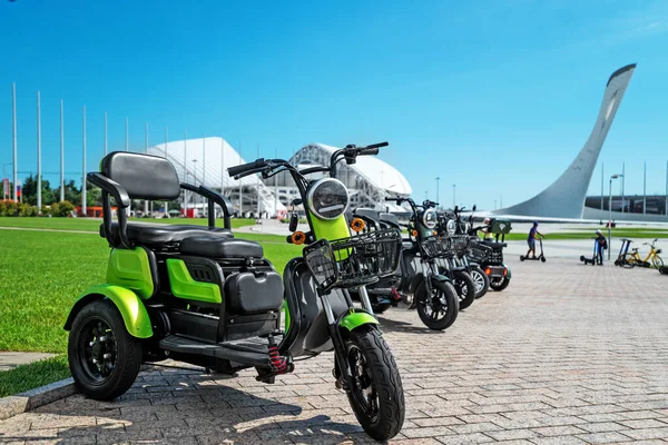 Parkta Yürüyüş Için Elektrikli Taşıma Aracı Kiraladık Elektrikli Scooterlar Için Stok Fotoğraf