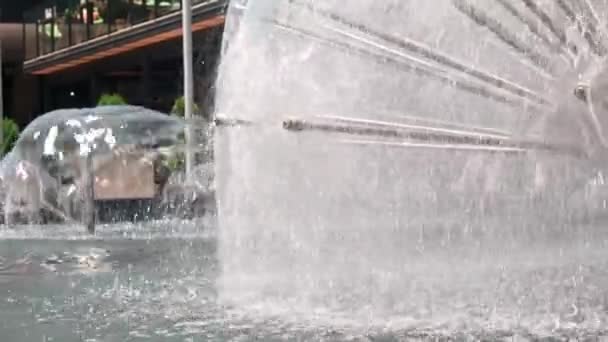 市中心喷泉中的水 是夏日清晨浪漫散步的最佳场所 — 图库视频影像