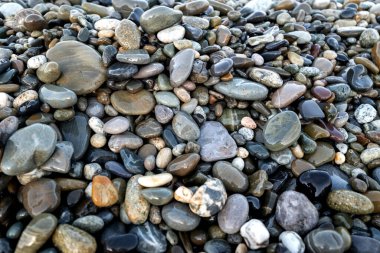 Bir sürü parlak parlak deniz taşı var. Arka plan için küçük taş dokusu. Yüksek kalite fotoğraf