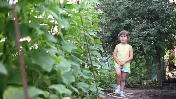 Dziecko Szczęśliwie Trzyma Świeże Zbiory Zielonego Dojrzałego Ogórka Ekologiczna Koncepcja — Wideo stockowe