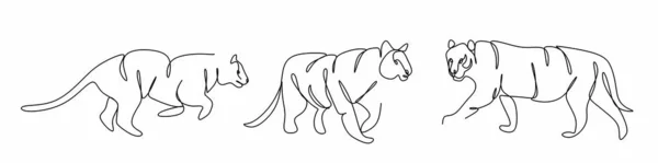 Набор Непрерывных Чертежей Тигровой Линии Плаката Брошюры Баннера Пригласительной Карты — стоковое фото