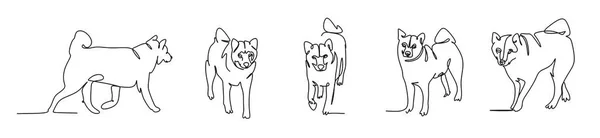 Set Continuous Drawing Single Line Japanese Shikoku Dog Close — Stock Photo, Image