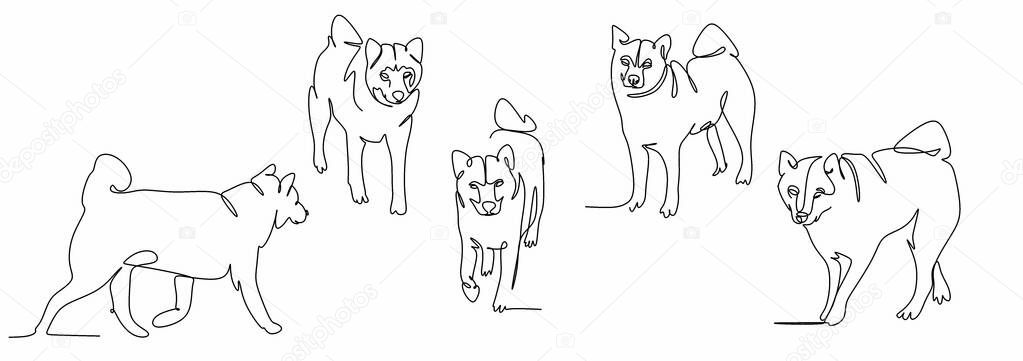 set continuous drawing of a single line of the Japanese Shikoku dog, close-up,