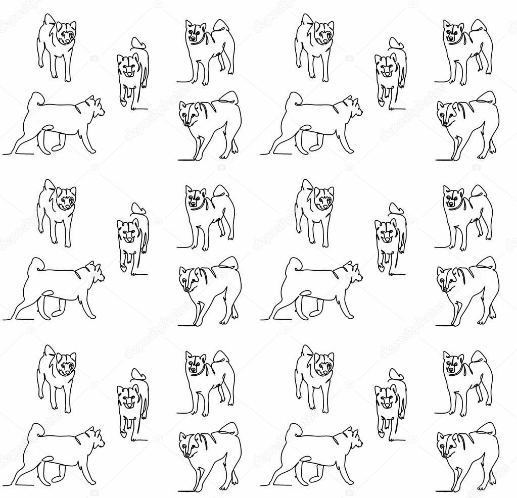 set continuous drawing of a single line of the Japanese Shikoku dog, close-up,