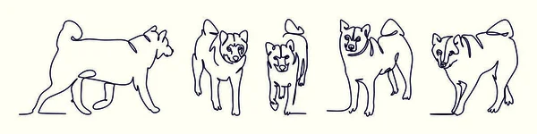 Conjunto Continuo Dibujo Una Sola Línea Perro Japonés Shikoku Primer —  Fotos de Stock