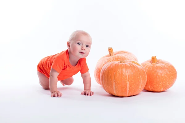 Baby in orange t-shirt on a white background sits next to pumpki — Zdjęcie stockowe