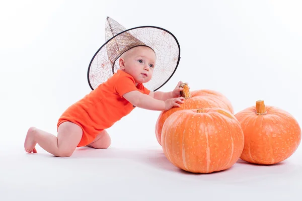 Baby witch hat on a white background sitting in front of pumpkin — Zdjęcie stockowe