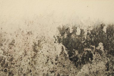 Eski beton duvar lekeleri ve kir, işlem rengi, t