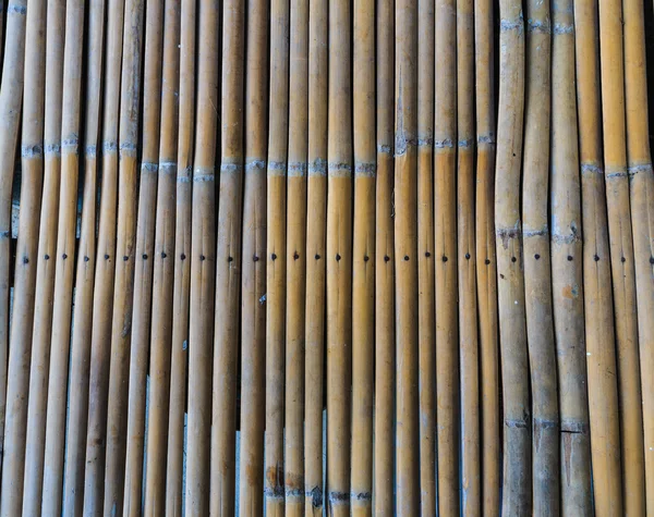 Bambu duvar dokusu arkaplanı. — Stok fotoğraf