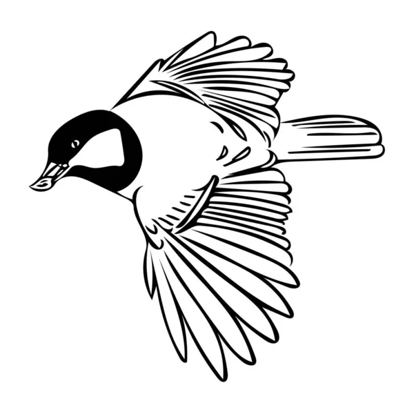 Ескіз Цицьки Польоті Насінням Дзьобі Контурна Векторна Ілюстрація Птаха Орнітологічних — стокове фото