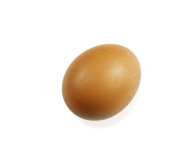 Bir tavuk yumurtası izole edilmiş beyaz arka plan tarımsal tarım kavramı ve Paskalya.