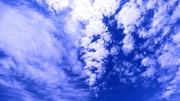 Sudut Rendah Pandangan Timelapse Langsung Siang Hari Terang Langit Biru — Stok Video