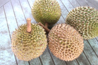 Taze Durian. Meyve Kralı Tayland bahçesinden