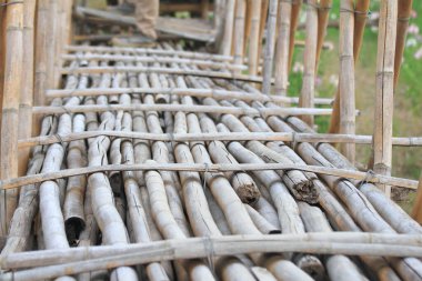 Bambudan yapılmış bir köprü.