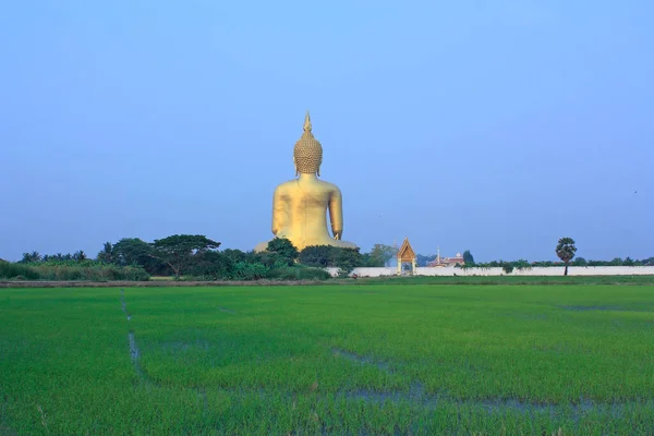 Wat Muang Hlavou Sochou Buddhy Thajsku — Stock fotografie