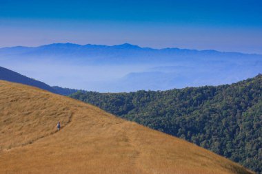 9 Şubat 2015, Chiang Mai, Tayland: Gün batımında altın çayır ve dağlar. Kışın, Tayland 'da güzel doğal manzara.
