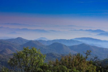 Dağların ve ağaçların güzel manzarası