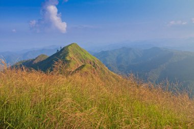 Gün batımında altın çayır ve dağlar. Kışın, Tayland 'da güzel doğal manzara.