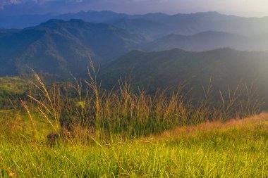 Gün batımında altın çayır ve dağlar. Kışın, Tayland 'da güzel doğal manzara.