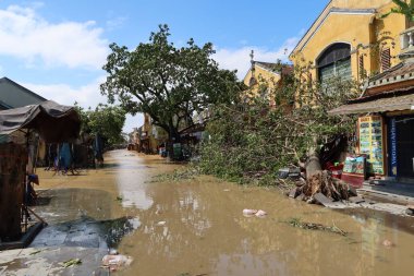 Hoi An, Vietnam, 29 Ekim 2020: Tayfun Molave geçişi nedeniyle Hoi An şehrinde sel basmış cadde ve devrilmiş ağaç