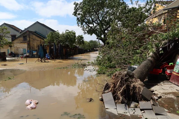 Hoi An, Vietnam, 29 Ekim 2020: Tayfun Molave geçişi nedeniyle Hoi An şehrinde devrilen ağaçlar ve sel basmış sokaklar