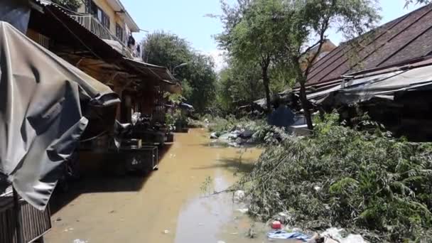 Une des nombreuses rues inondées d'arbres tombés à Hoi An après le typhon Molave — Video