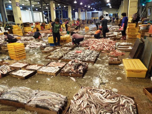 Busan Corea Del Sur Septiembre 2016 Operadores Organizando Cajas Pescado — Foto de Stock