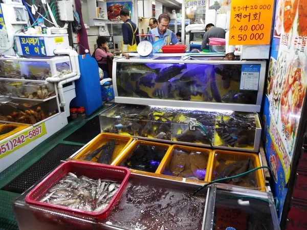 Busan Sydkorea September 2016 Mand Levende Fiskebutik Busan Jagalchi Market - Stock-foto