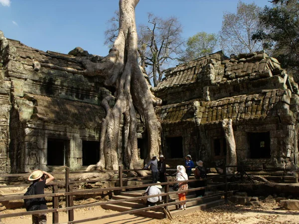 Siem Reap Cambodja April 2016 Bezoekers Aan Prohm Tempel Het — Stockfoto
