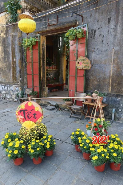 Hoi Vietnã Fevereiro 2021 Decoração Com Plantas Para Celebrações Tet — Fotografia de Stock