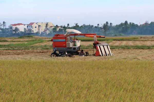 Hoi Vietnam Mai 2021 Ein Mähdrescher Auf Einem Reisfeld Während — Stockfoto
