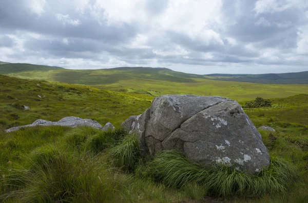 Naturens design i national park — Stockfoto