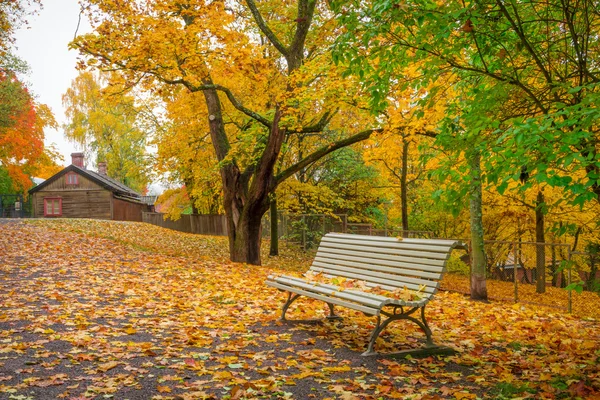 Paysages du parc en octobre Images De Stock Libres De Droits