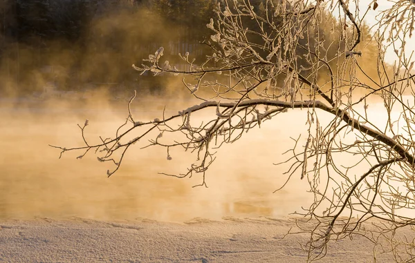 Gouden rivier — Stockfoto