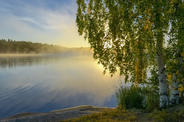 La mattina presto — Foto Stock