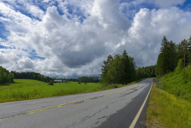 Yağmurlu bir gün sonra