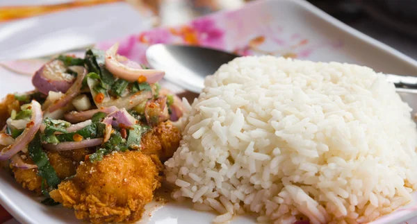 Arroz servido con pollo crujiente picante — Foto de Stock