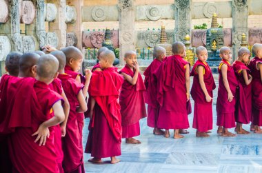 Tibetian acemi hattı