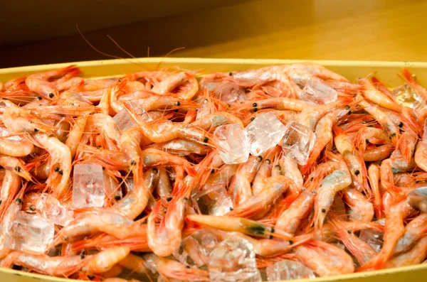 Crevettes fraîches froides — Photo