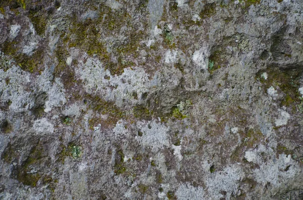 Stone with moss — Stock Photo, Image