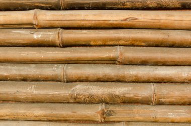 Bambu çit arka plan doku