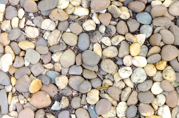 装饰砾石鹅卵石在花园里 — 图库照片