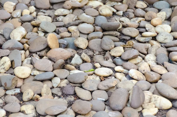 Gravel pebble stones in garden — Stock Photo, Image