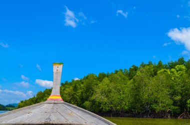 ahşap uzun kuyruklu tekne turu mangrov orman çapında başkanı