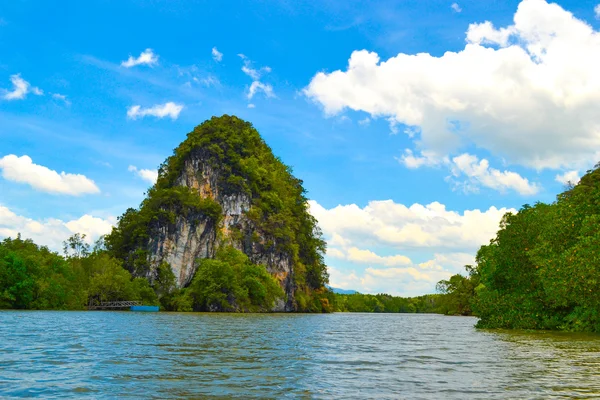 O insulă lângă pădurea de mangrove — Fotografie, imagine de stoc