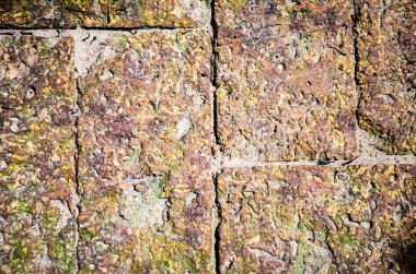 Eski taş duvar