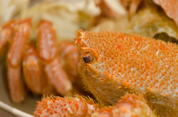 Chinese mitten crab — Stock Photo, Image