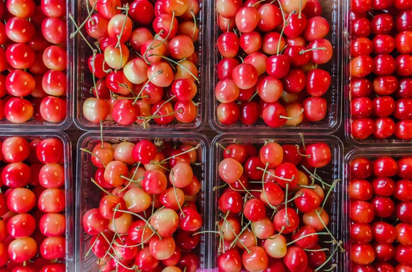 Cerezas rojas en el mercado — Foto de Stock